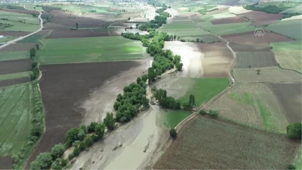 Kuvvetli sağanaktan zarar gören ekili arazilerde zarar tespiti yapılıyor