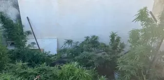 Alanya'da eş zamanlı uyuşturucu operasyonu: 14 gözaltı