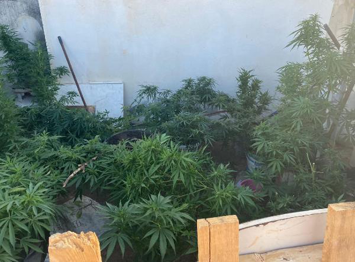 Alanya\'da eş zamanlı uyuşturucu operasyonu: 14 gözaltı