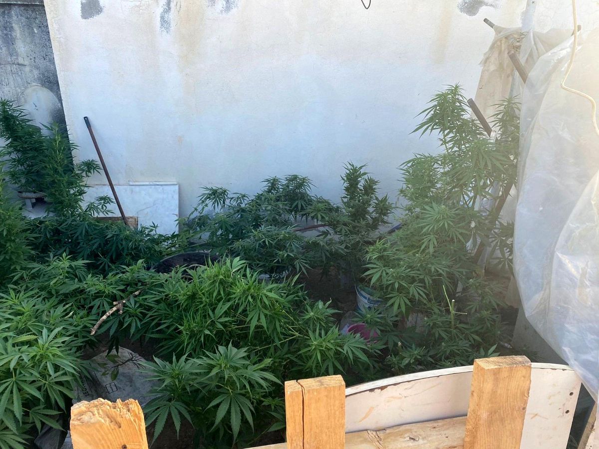 Son dakika haberi! Antalya\'da uyuşturucu operasyonunda 14 şüpheli yakalandı