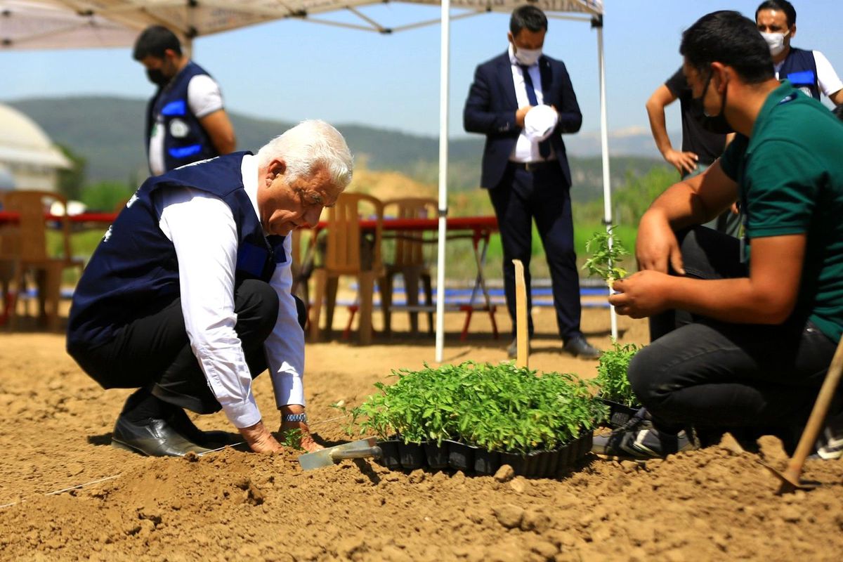 Ata tohumları toprakla buluştu