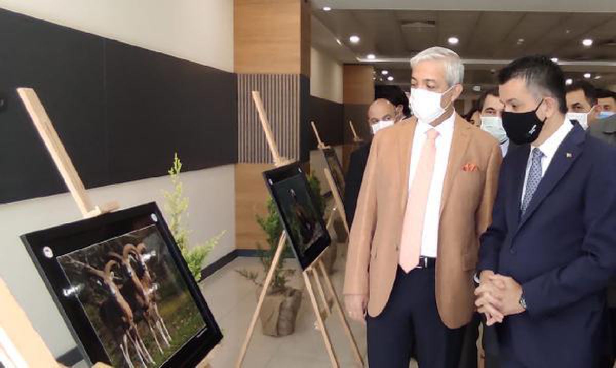 Bakan Pakdemirli: Dünyada biyolojik çeşitlilik azalırken Türkiye\'de artıyor