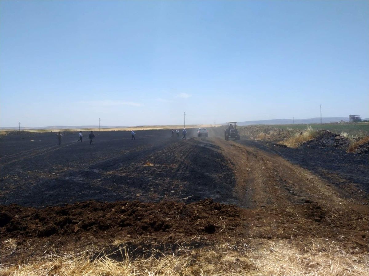 Biçerdöver hasat yaparken yangına neden oldu