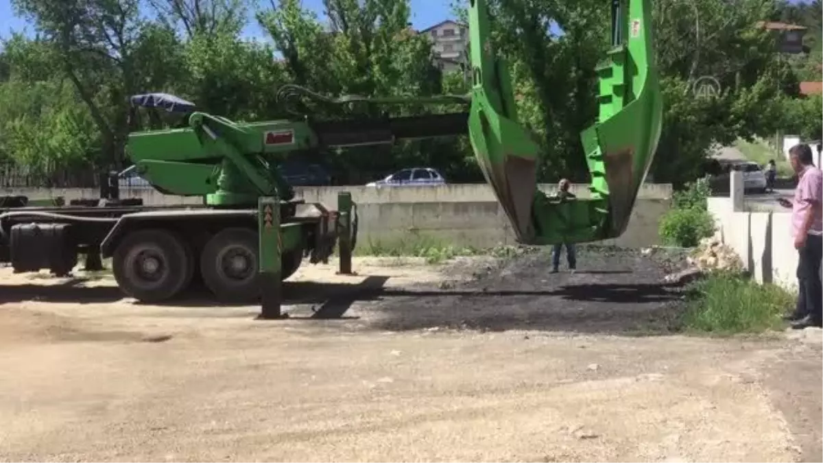 KASTAMONU - İnşaat bölgesinde kalan 8 ağaç sökülerek hastane bahçesinde dikildi