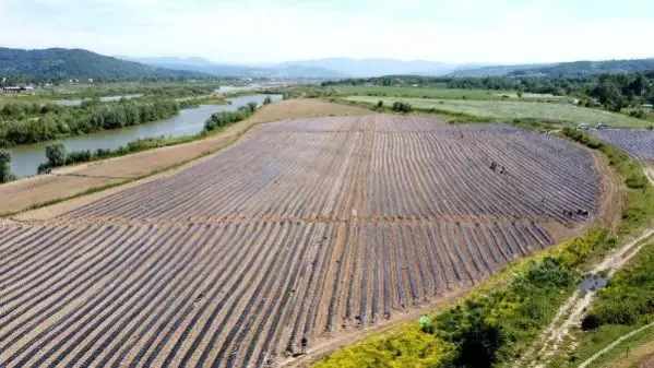 Köyünde 2,7 milyon liralık yatırımla tarıma başladı, 20 kadını istihdam etti