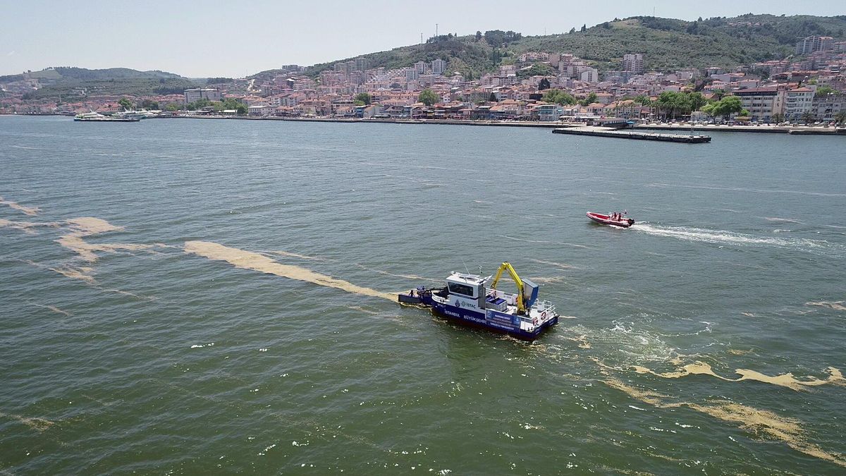 Mudanya\'da denizde müsilaj temizliği yapılıyor