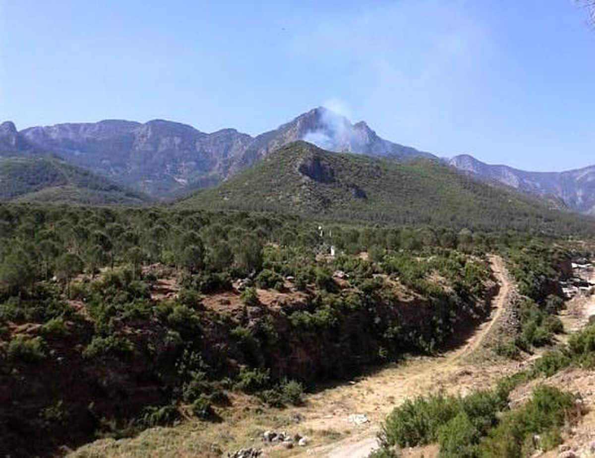 Ormanlık alandan yükselen dumanlar ekipleri seferber etti