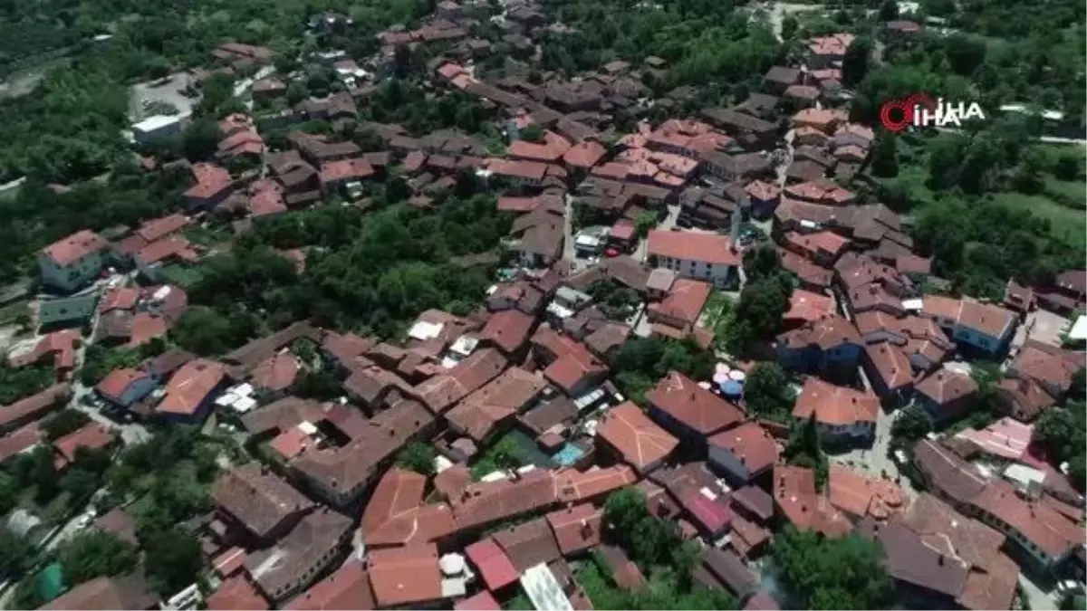 Sağlık merkezine gidemeyen vatandaşları evlerinde aşılıyorlar