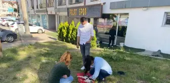 Sivas'ta bıçaklanarak öldürülmüş bir kedi yavrusu bulundu