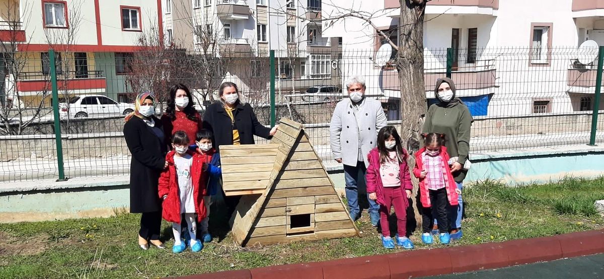Sokak kedileri emin ellerde