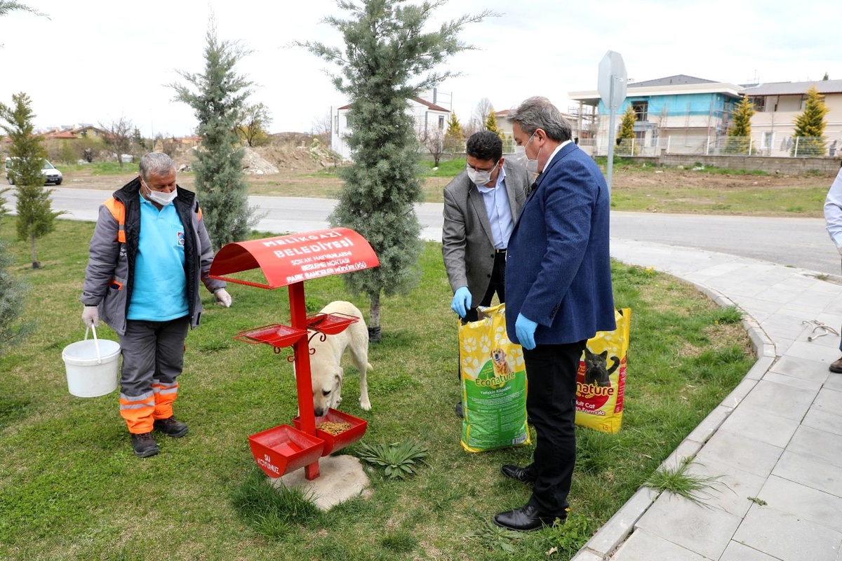 Tam kapanmada Melikgazi\'de sokak hayvanları unutulmadı