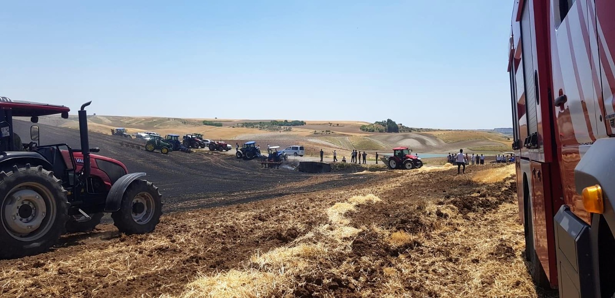 Tarlada çıkan yangında 15 dönüm arpa kül oldu