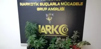 Turgutlu'da 'esrarlı eve' baskın