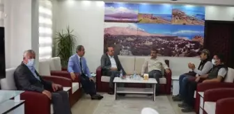 Adilcevaz'da ceviz ormanı kurulacak