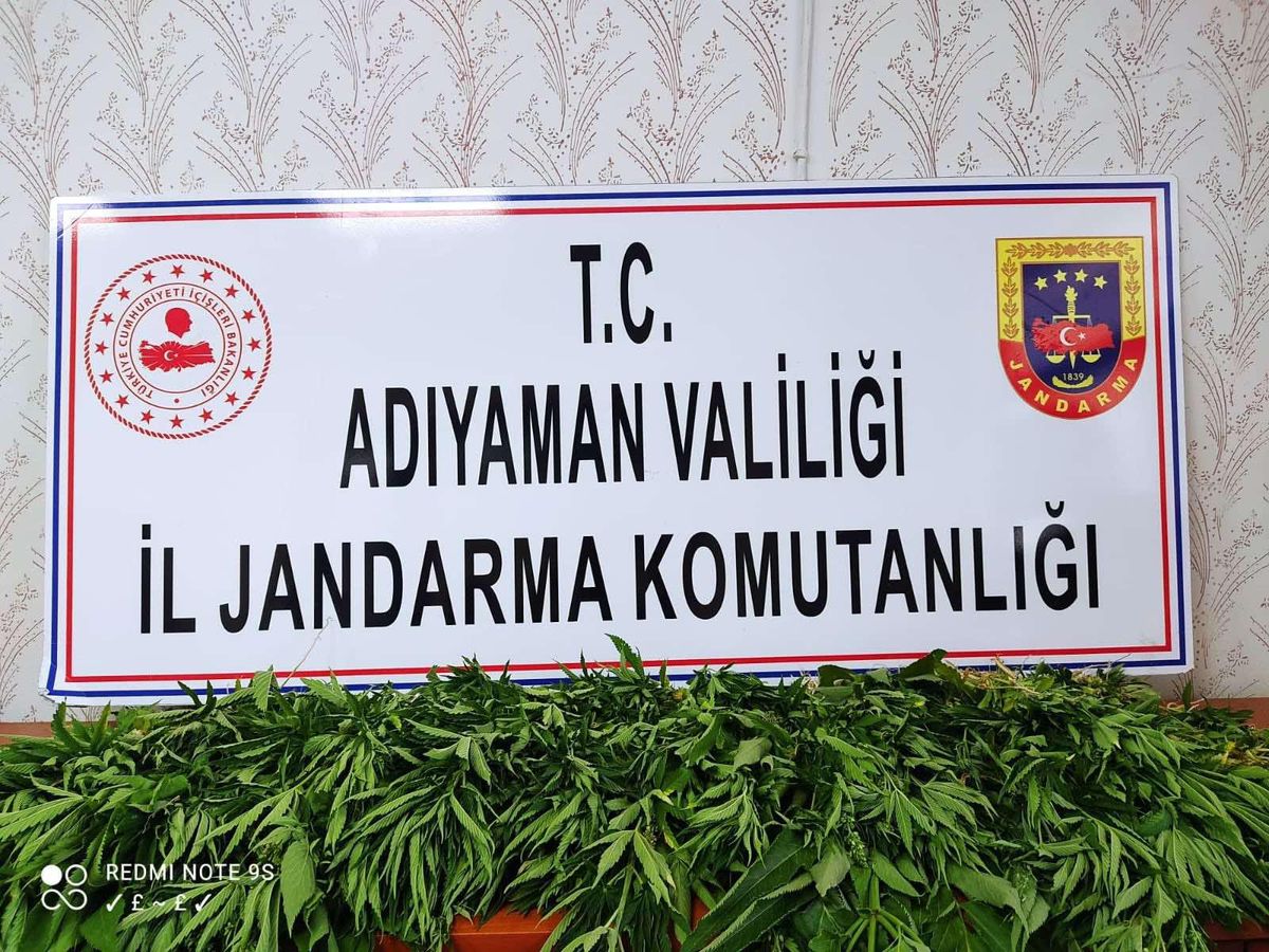 Adıyaman\'da Hint keneviri yetiştirdiği iddia edilen 1 şüpheli yakalandı