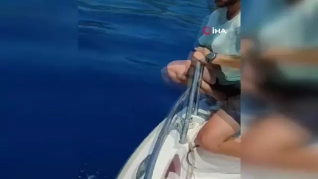 Balıkçılara eşlik eden yunuslar böyle görüntülendi Balıkçılara eşlik eden yunuslar böyle görüntülendi