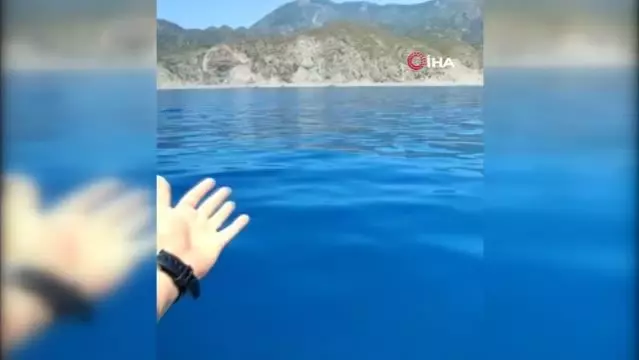 Balıkçılara eşlik eden yunuslar böyle görüntülendi Balıkçılara eşlik eden yunuslar böyle görüntülendi