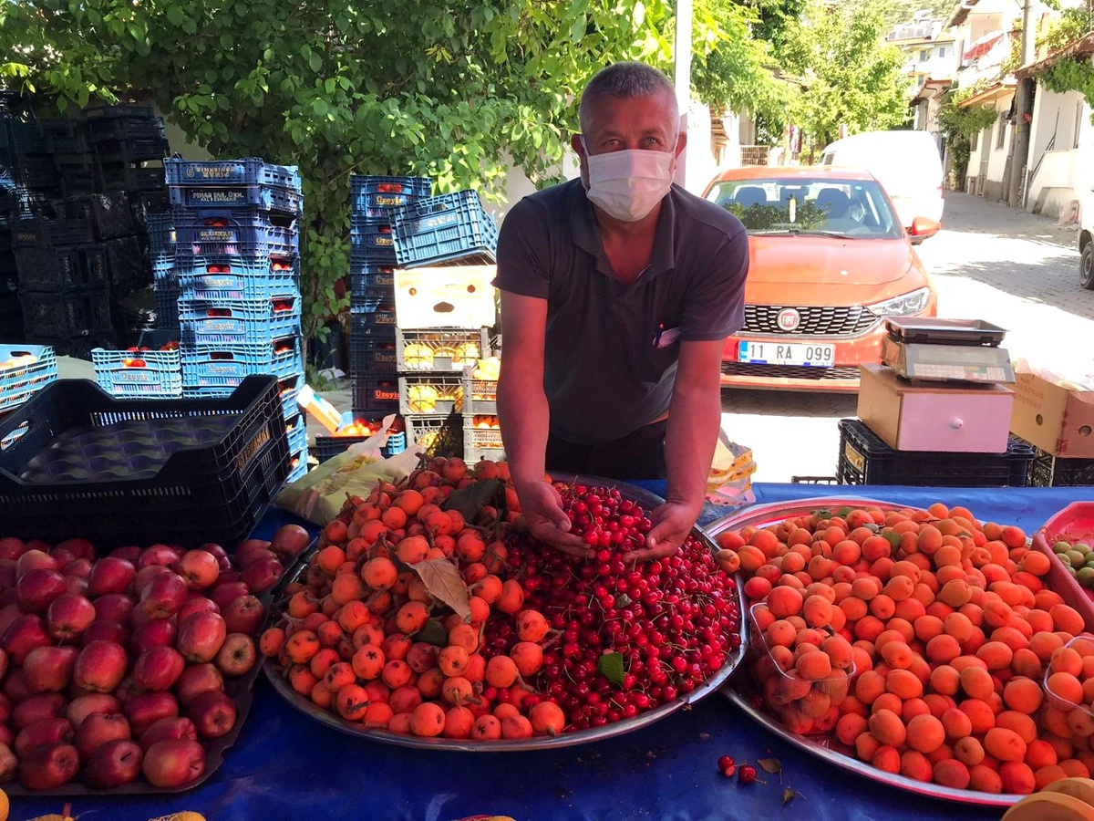 Bilecik\'in ilk erkenci kirazı pazara çıktı