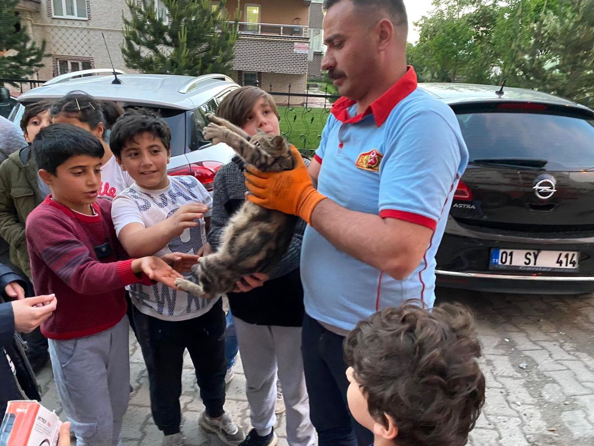 Çatıda mahsur kalan hamile kediyi itfaiye ekipleri kurtardı