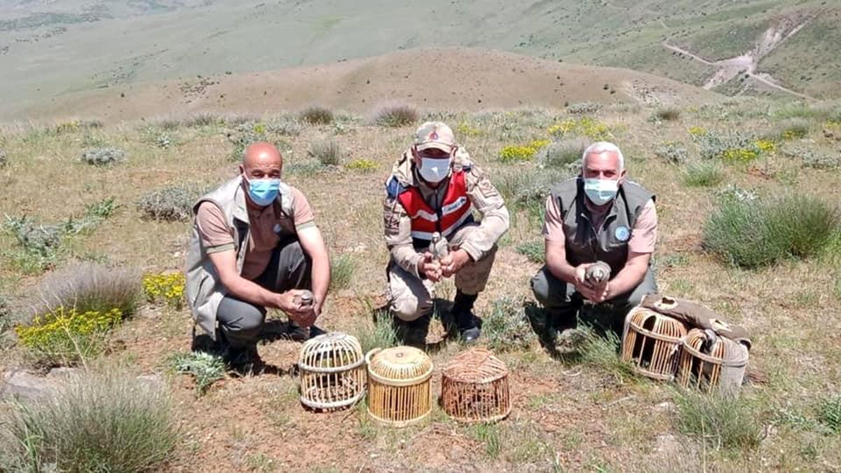 Elazığ\'da kaçak avda yakalanan 3 şahsa işlem yapıldı