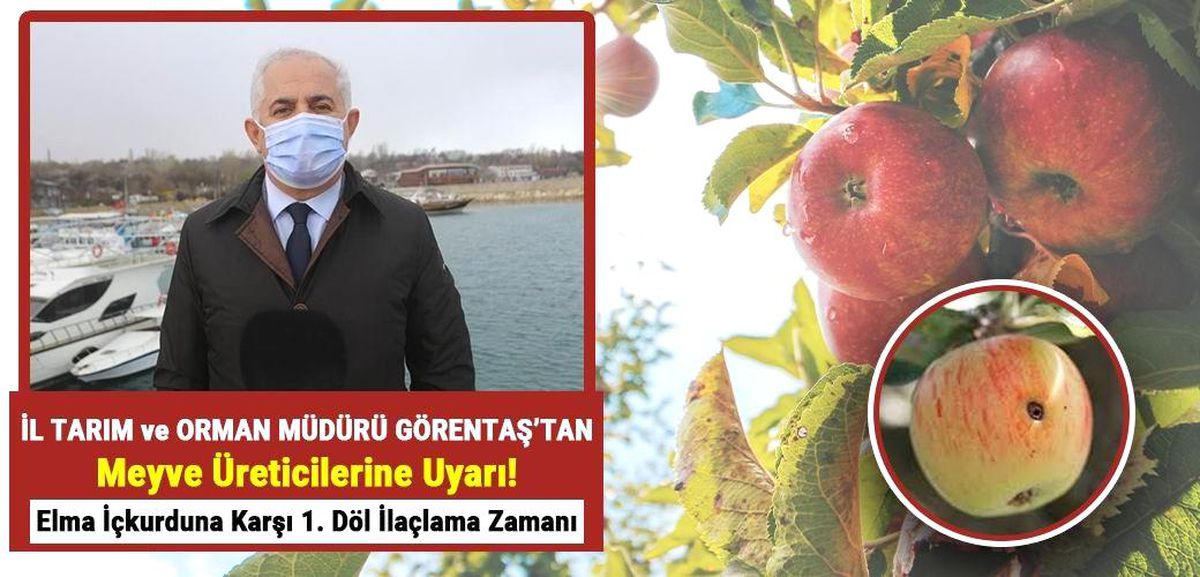 Elma iç kurduna karşı ilaçlama uyarısı