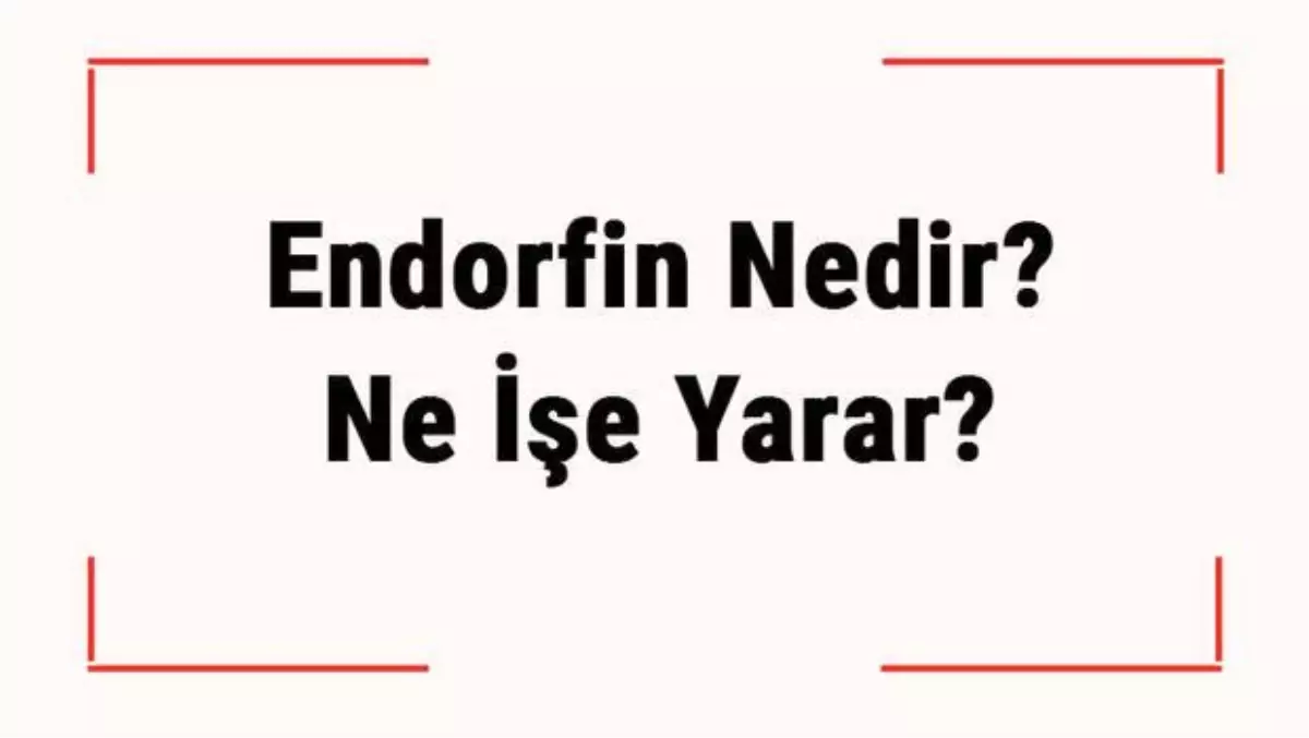 Endorfin Nedir? Ne İşe Yarar? Endorfin Hormonu Nasıl Artar?