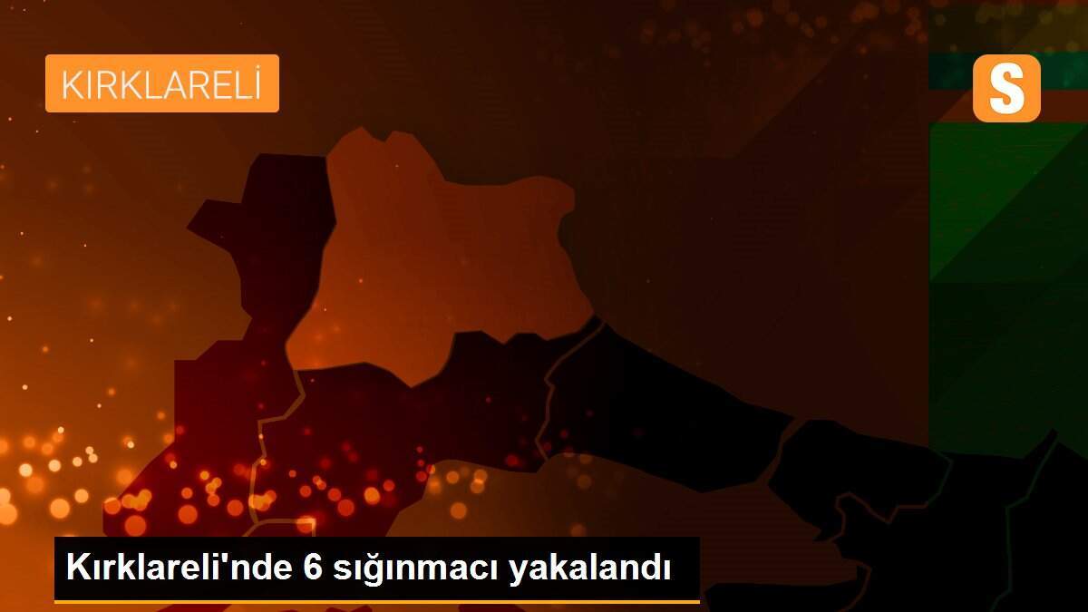 Kırklareli\'nde 6 sığınmacı yakalandı