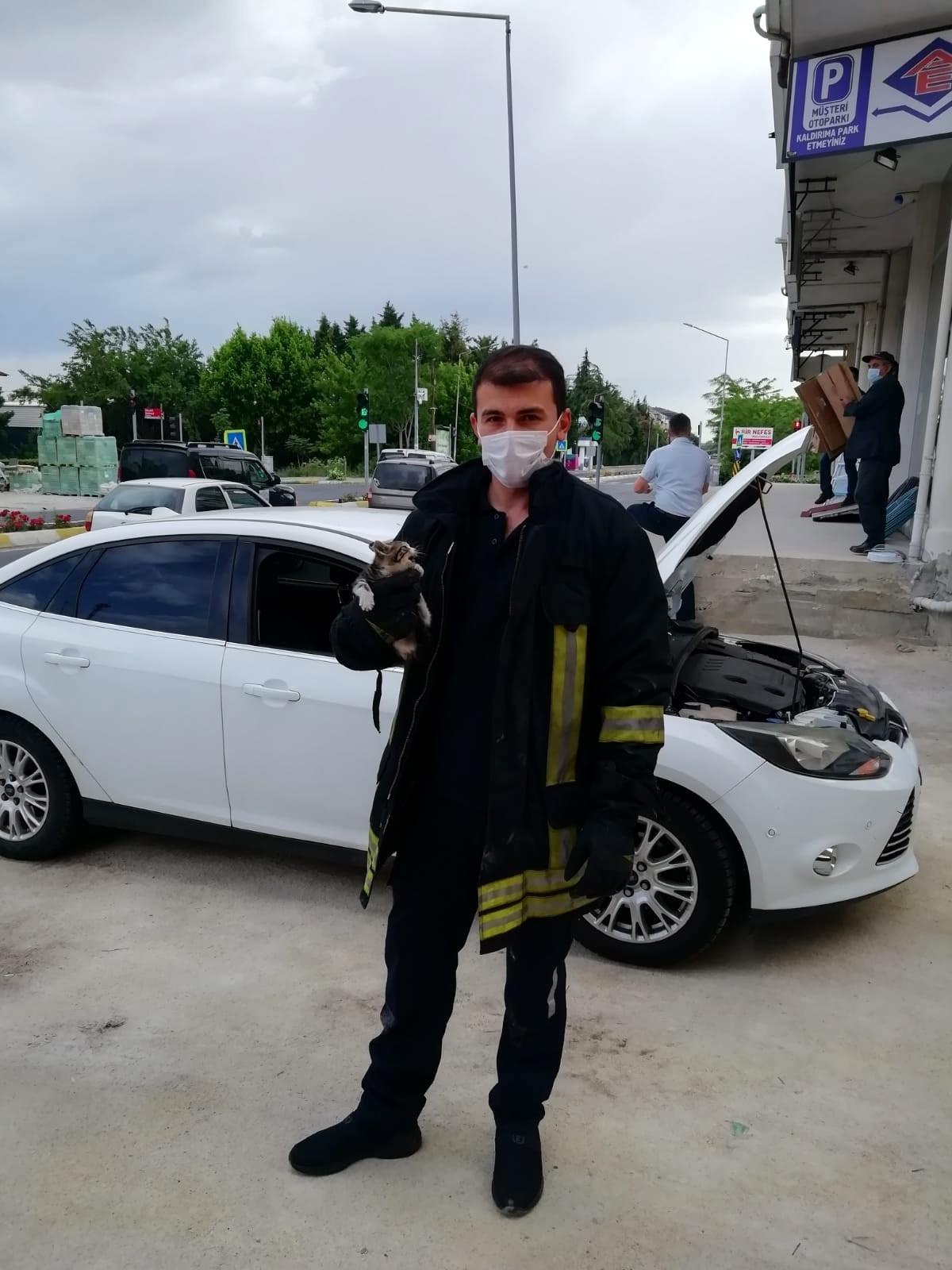 Kırklareli\'nde otomobilde sıkışan yavru kedi kurtarıldı