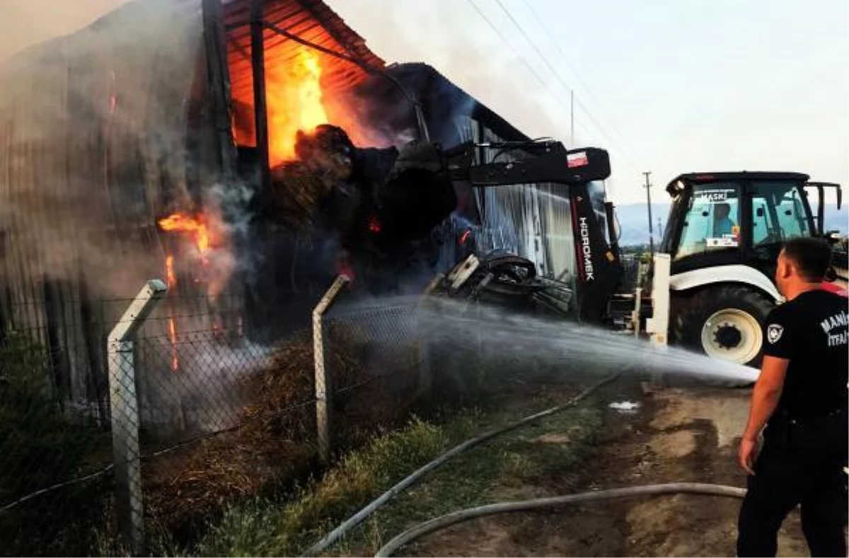 Manisa\'da besi çiftliği yangını; 700 ton saman ve yem kül oldu