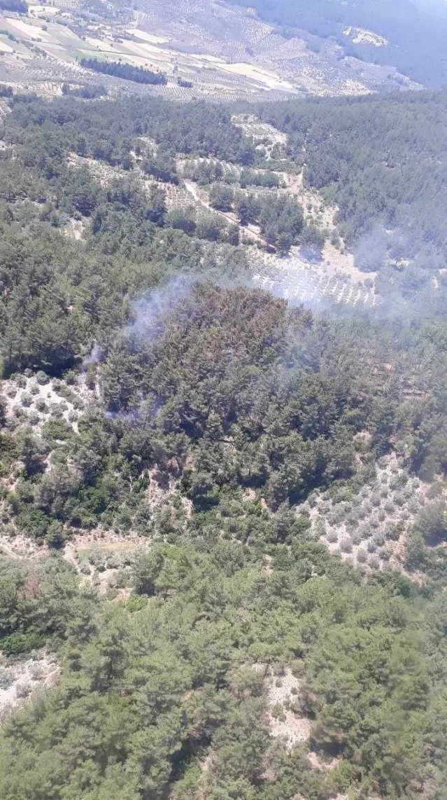 Muğla'da çıkan orman yangını söndürüldü