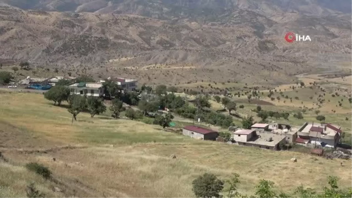 Şırnak\'ta yerli ve yabancı 49 akademisyen, Nuh Tufanı ve Cudi Dağını araştırıyor