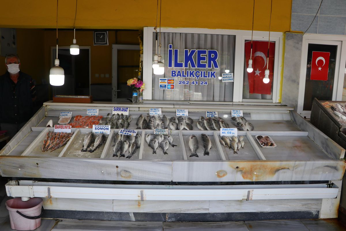 Tekirdağ\'da devam eden deniz salyası nedeniyle balık fiyatları düşmüyor