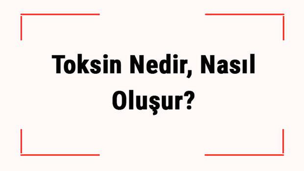 Toksin Nedir, Nasıl Oluşur? Toksin Vücuttan Nasıl Atılır?
