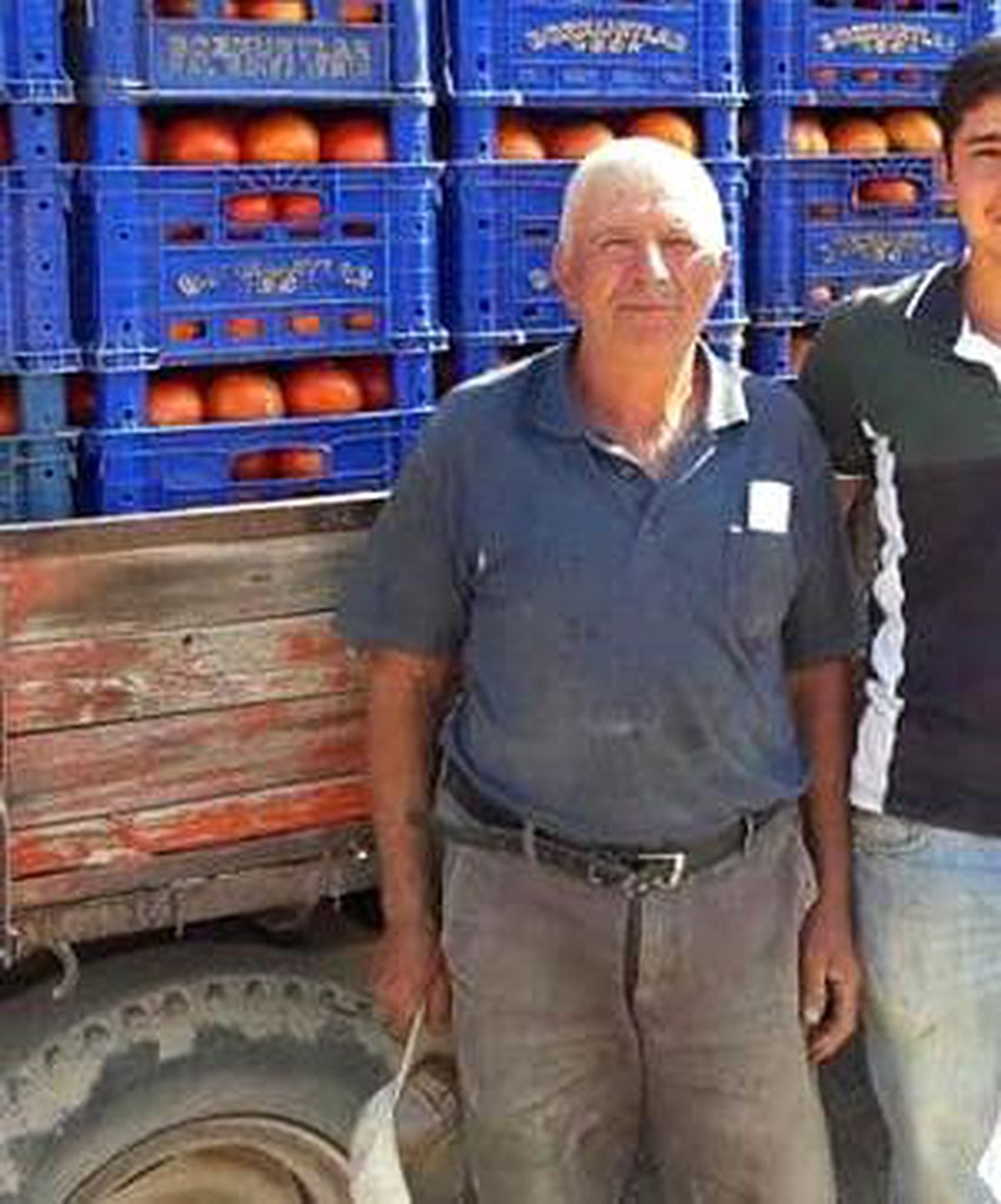 Traktörün altında kalan çiftçi öldü