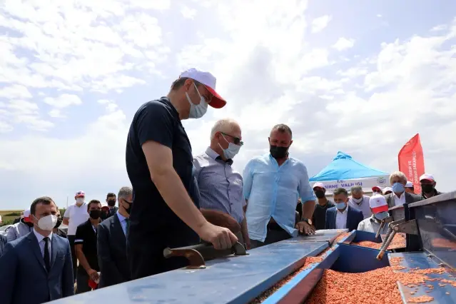 Türkiye'nin çeltik ambarı Edirne'de damla sulama sistemiyle ekim yapıldı