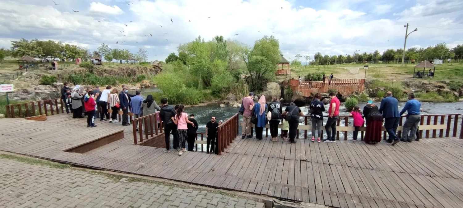 Uçan balıkların muhteşem göçü devam ediyor