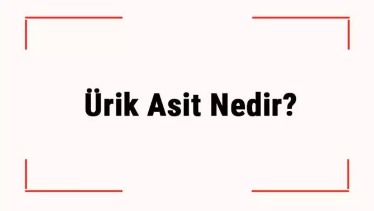 Ürik Asit Nedir? Ürik Asit Yüksekliği ve Düşüklüğü Nedir? Değeri Kaç Olmalı?