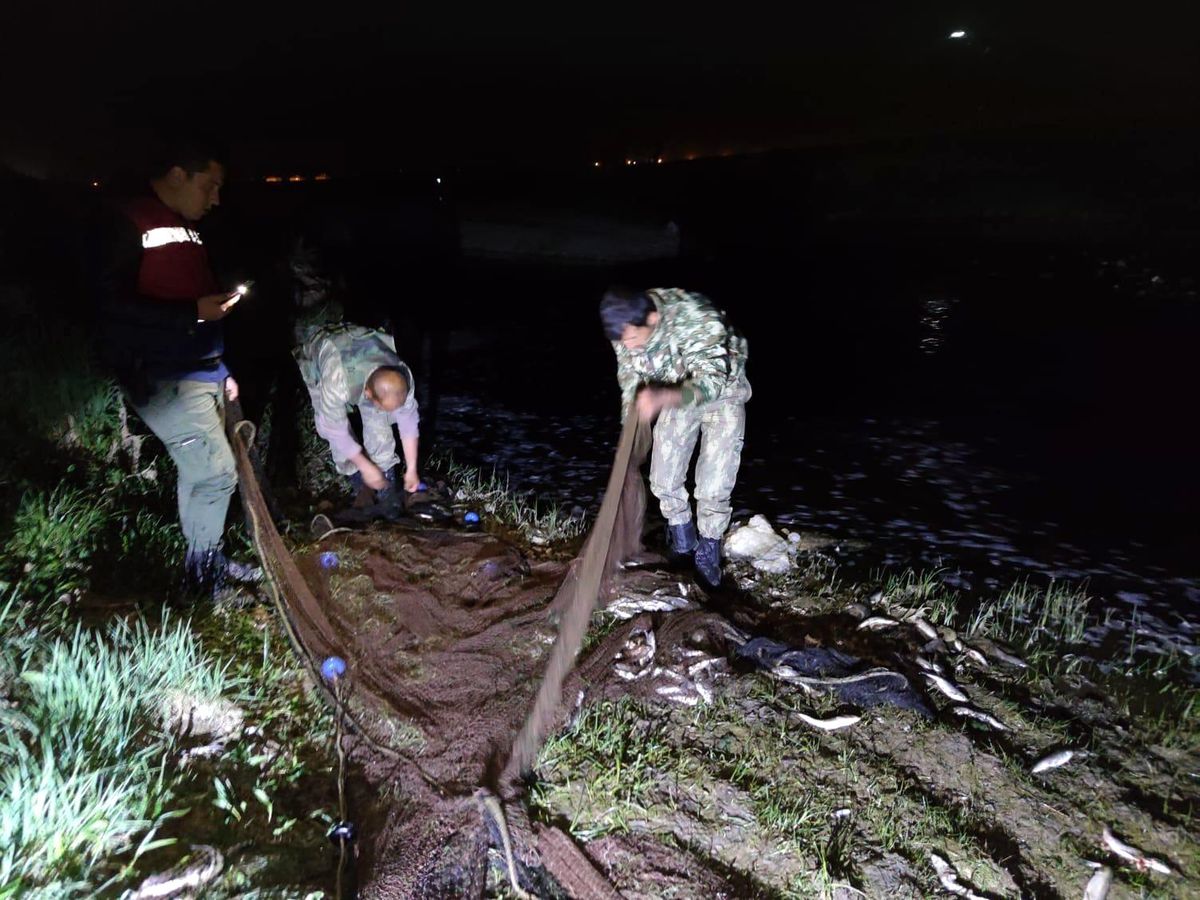 Van Gölü\'nde kaçak avlanan 16 ton 200 kilo inci kefali ele geçirildi