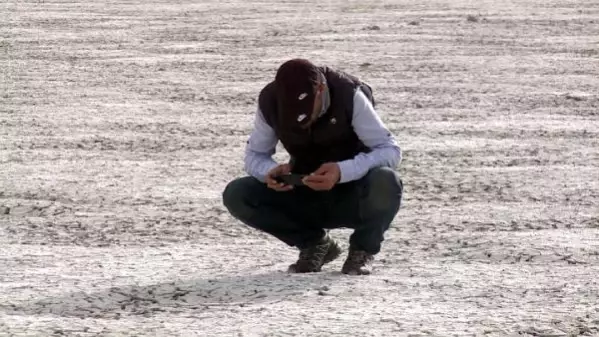 VAN'IN KUŞ CENNETİ AKGÖL, KURUDU