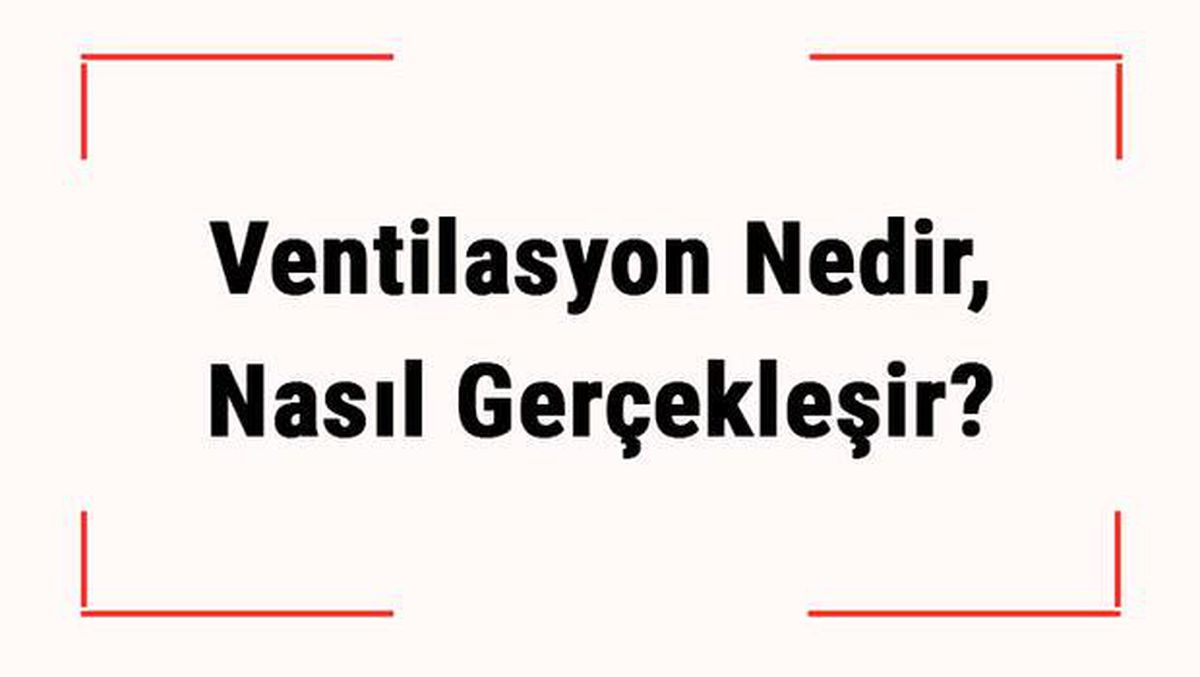 Ventilasyon Nedir, Nasıl Gerçekleşir? Pulmoner ve Alveoler Ventilasyon Terimlerinin Anlamları