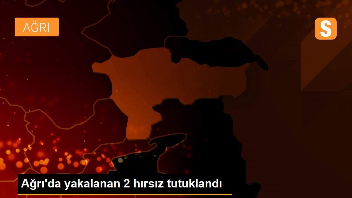 Ağrı\'da yakalanan 2 hırsız tutuklandı