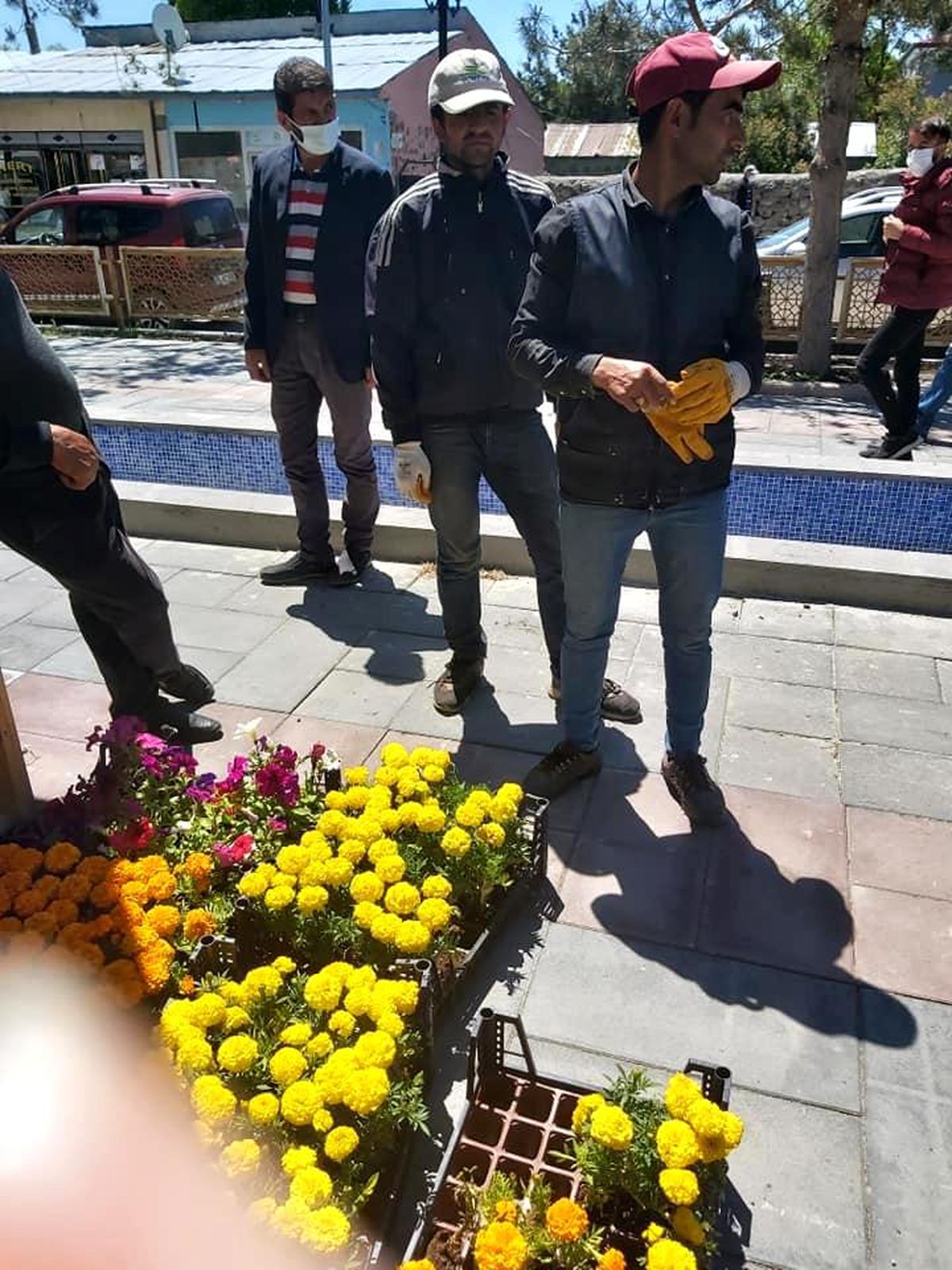 Arpaçay\'da peyzaj çalışmaları başlatıldı