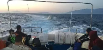 Bodrum'da 8 kaçak göçmen kurtarıldı
