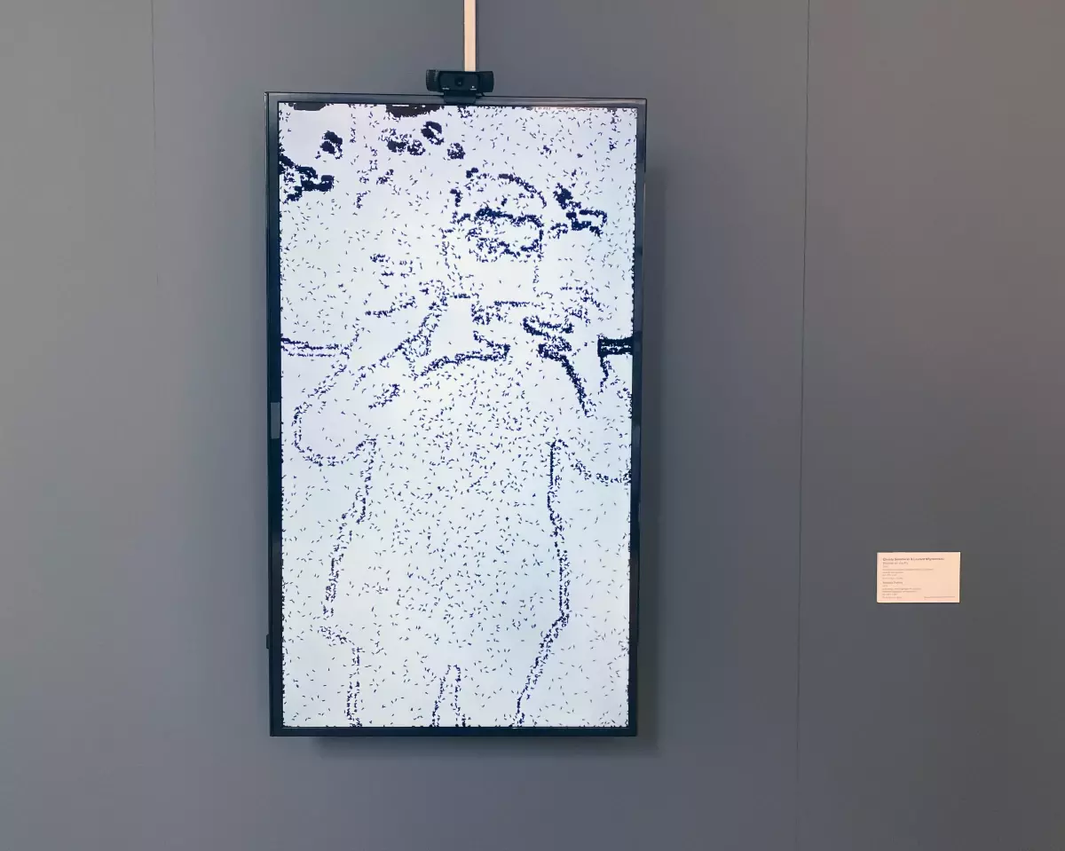 "Hareket Eden Anılar" sergisi, Fişekhane\'de sanatseverlerle buluştu