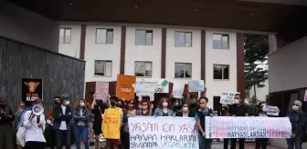 Hayvanseverler, hayvan hakları yasasına ilişkin taleplerini eylemle duyurdu