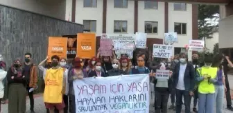 HAYVANSEVERLER, HAYVAN YASASI İÇİN PROTESTO EYLEMİ YAPTI