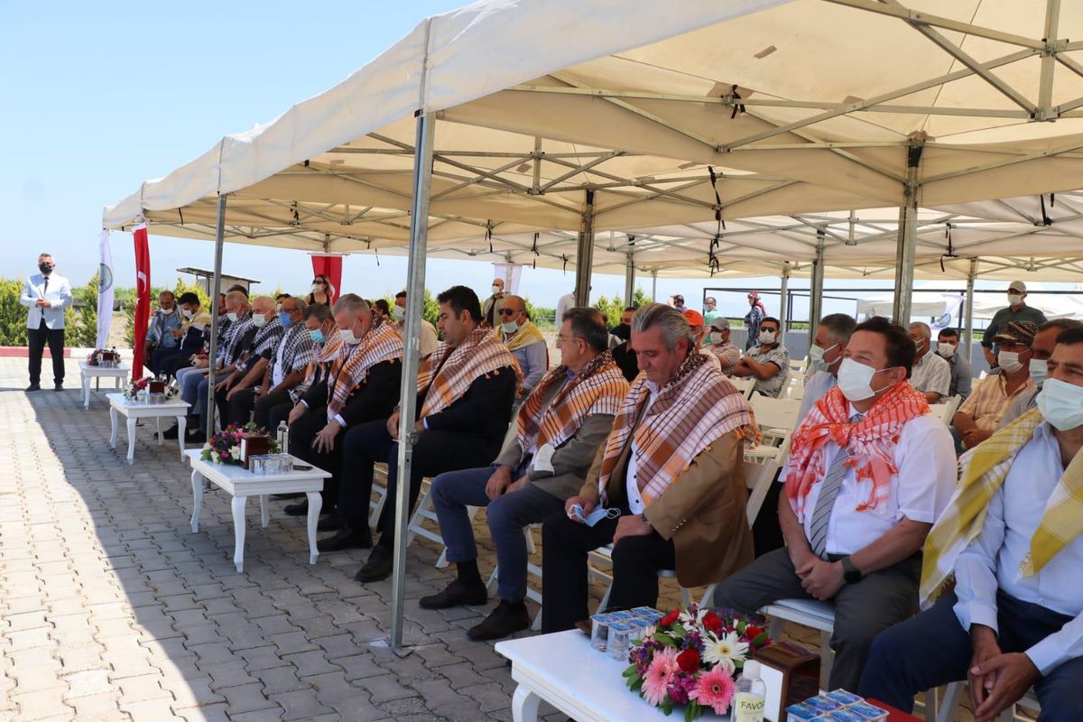 İzmir Tarım ve Orman İl Müdürlüğü\'nden salkım güvesi için biyoteknik mücadele