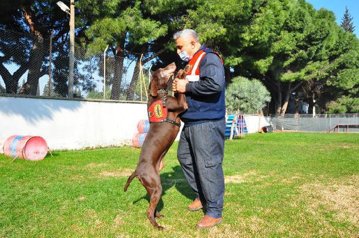 Jandarmanın \'Volta\'sı emekli oldu