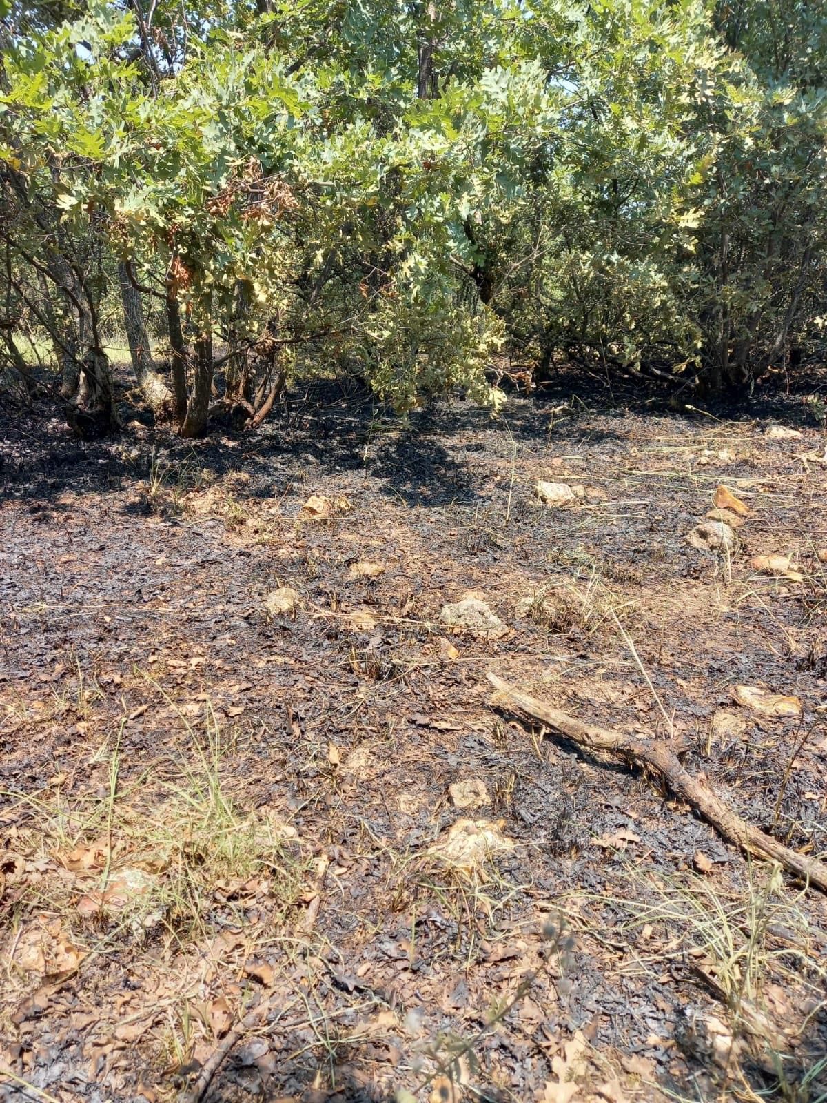Son dakika! Manisa\'da makilik alanda çıkan yangın söndürüldü