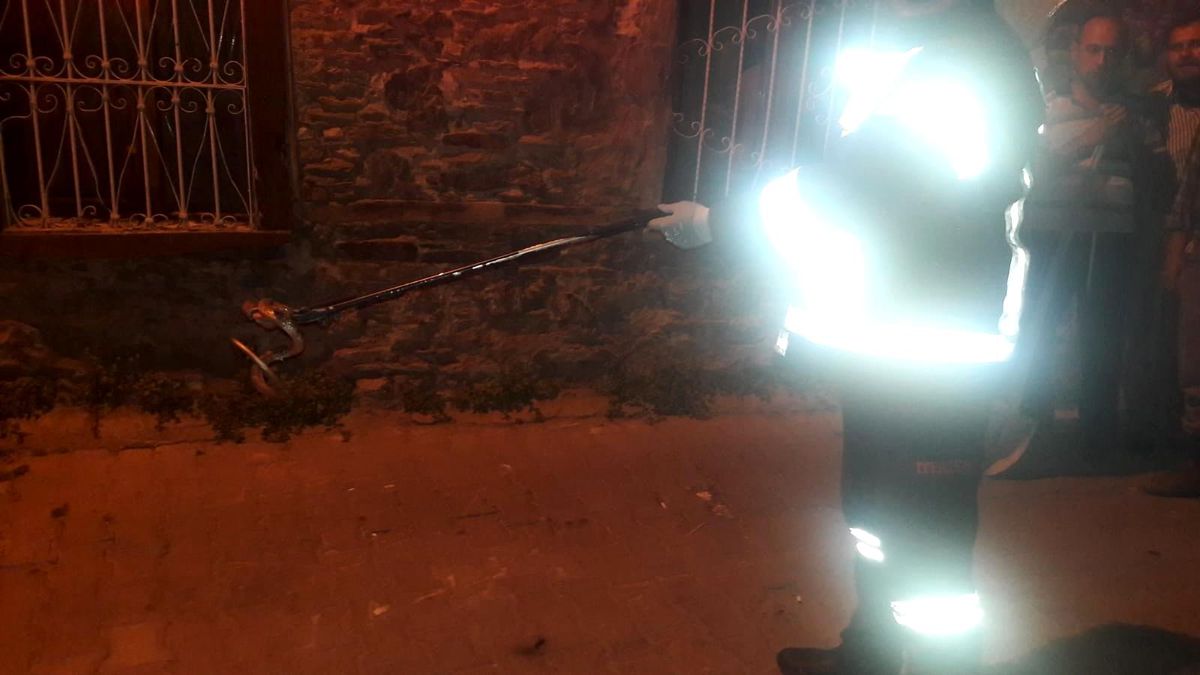 Son dakika haberi | Manisa\'nın 2 ilçesinde yılan kurtarma operasyonu